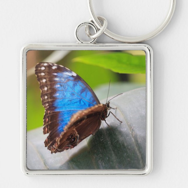 Chaveiro Presentes do destino (Frente)