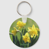 Primavera Daffodils!