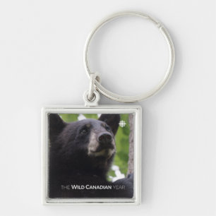 Chaveiro Primavera - Urso Preto
