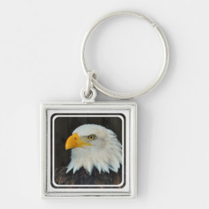Chaveiro principal de Eagle