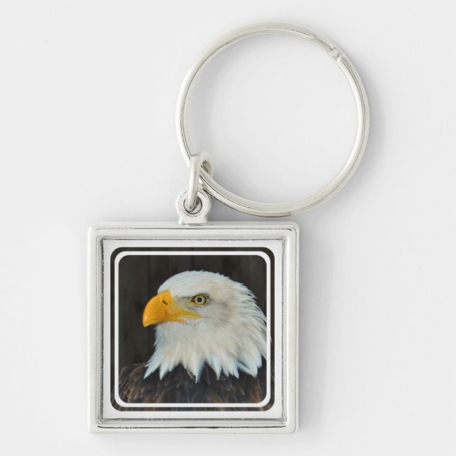 Chaveiro principal de Eagle (Frente)