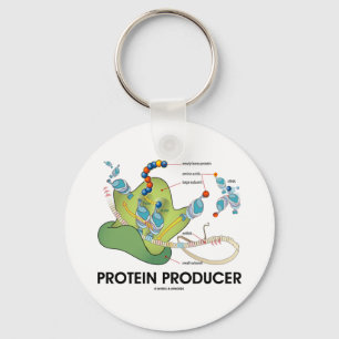Chaveiro Produtor da proteína (síntese da proteína da