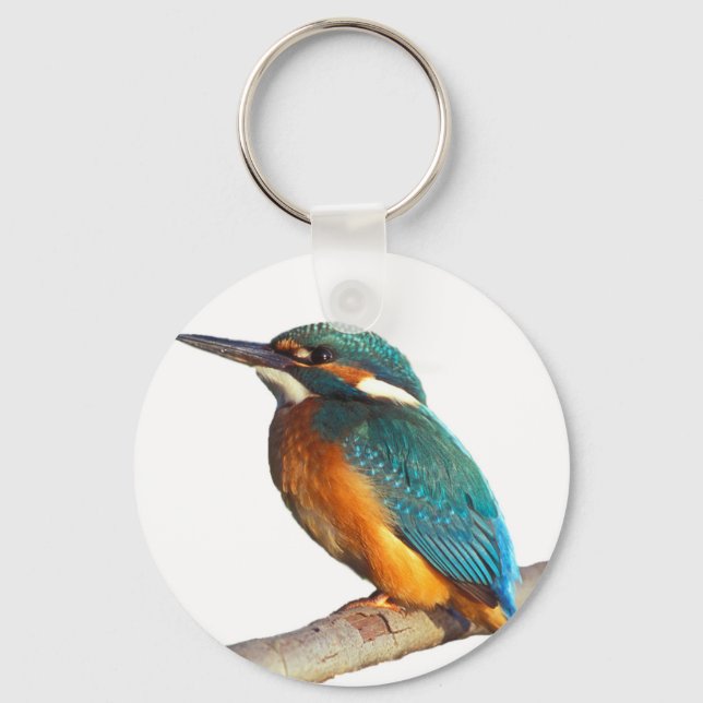Chaveiro Produtos de design "Kingfisher" (Frente)