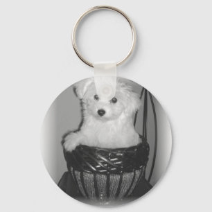 Chaveiro Produtos de MaltiPoo