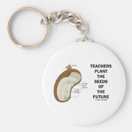 Chaveiro Professores Plantam Sementes Do Futuro (Sementes D