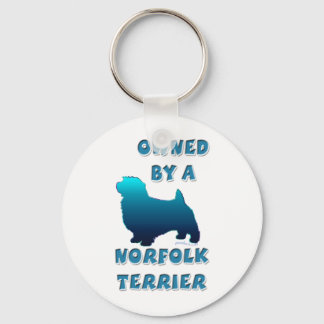 Chaveiro Propriedade de um Norfolk Terrier