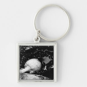 Chaveiro protetor escuro