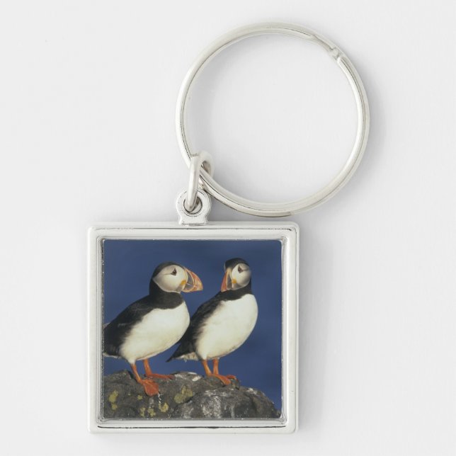 Chaveiro Puffin-do-Atlântico (Frente)