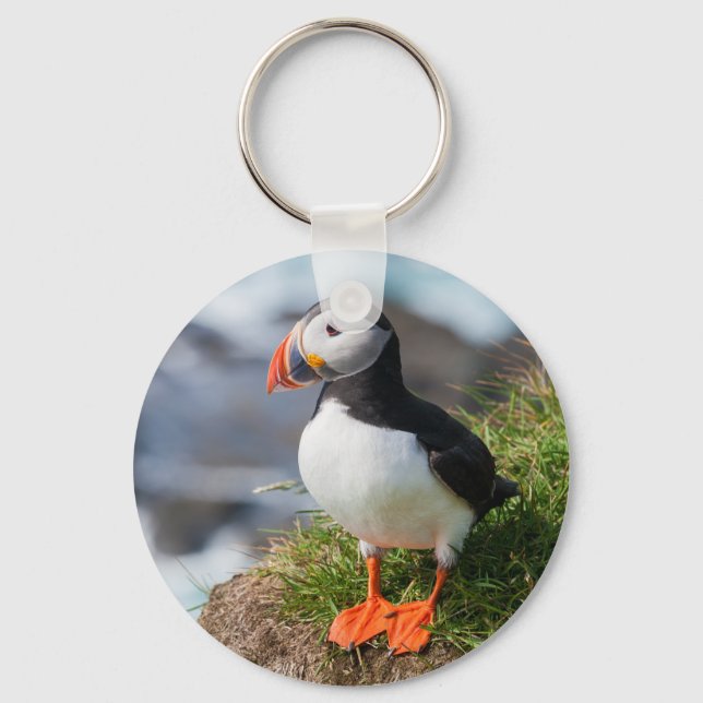 Chaveiro Puffin Fratercula Arctica (Frente)