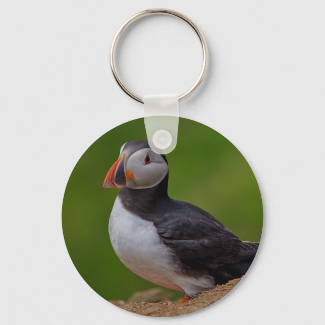 Chaveiro Puffin solteiro (Frente)