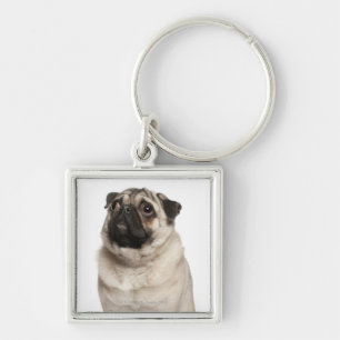 Chaveiro Pug (13 meses velho) que olha acima