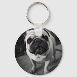 Chaveiro Pug bonito