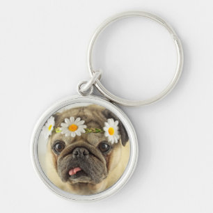 Chaveiro Pug com Daisy Crown
