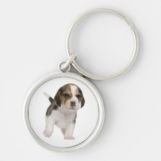 Chaveiro Pulseira de Cachorro Beagle Personalizada (Frente)