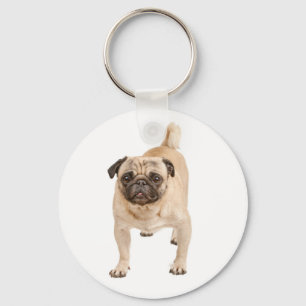 Chaveiro Pulseira de Cachorro Pug Fofinho