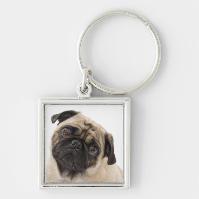 Chaveiro Pulseira de Cachorro Pug Fofinho (Frente)