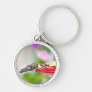 Chaveiro Pulseira de Chave Beija-Flor-de-Pescoço-Rubro #062