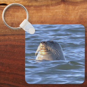 Chaveiro Pulseira de Chaves com Foto de Foca