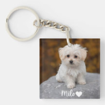Pulseira de Foto de Animal Personalizada com Nome