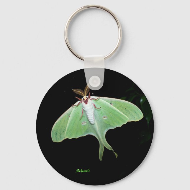 Chaveiro Pulseira de Foto de Mariposa Noturna Luna (Frente)