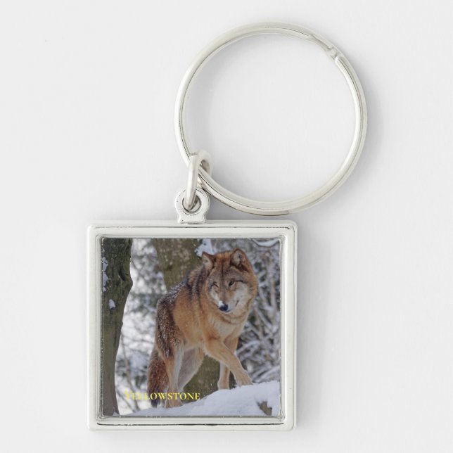 Chaveiro Pulseira de lobo de Yellowstone (Frente)
