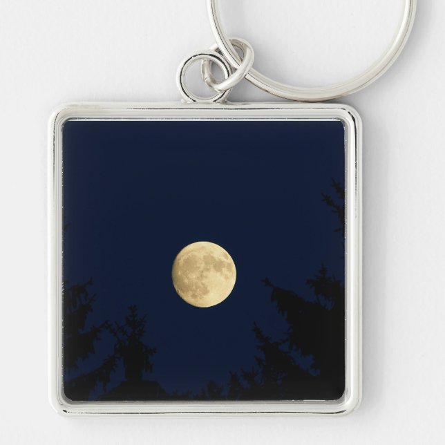 Chaveiro Pulseira de Tecla Lua Mística & Silhueta da Flores (Frente)
