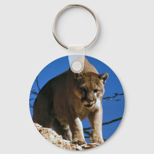 Chaveiro puma