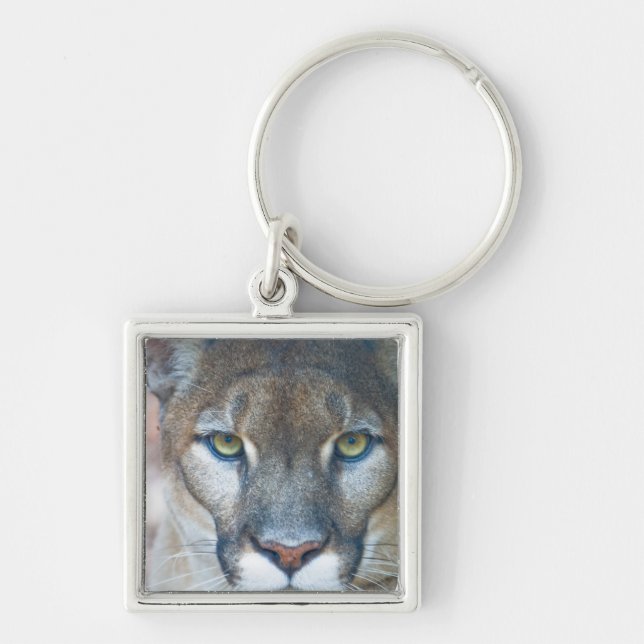 Chaveiro Puma, leão-da-montanha, pantera-da-flórida, Puma (Frente)