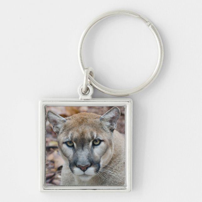 Chaveiro Puma, leão-da-montanha, pantera-da-flórida, Puma (Frente)