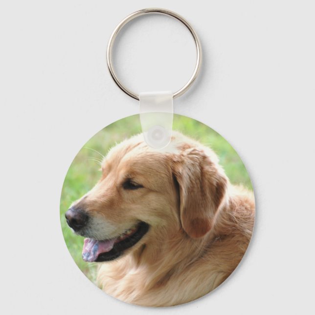 Chaveiro Pup do ouro Retriever (Frente)