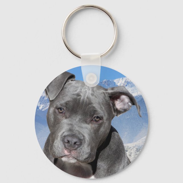 Chaveiro Puppy Dog americano Pitbull Terrier (Frente)