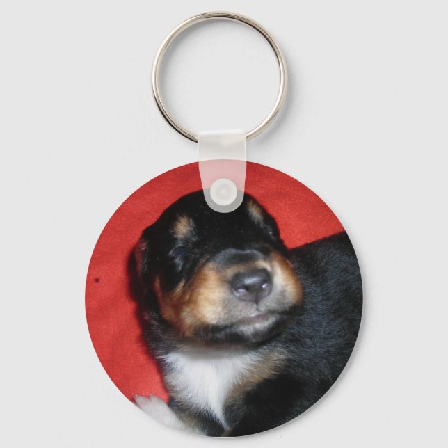 CHAVEIRO PUPPY LOVE (Frente)