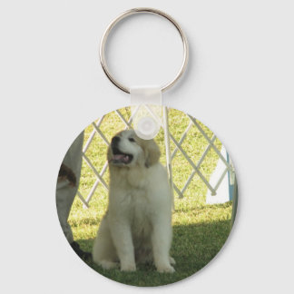 Chaveiro Pyr Puppy