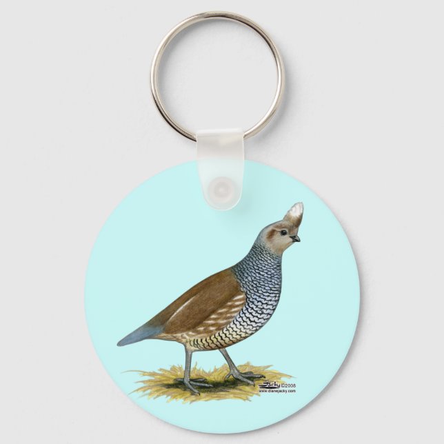 Chaveiro Quail escalável (Frente)