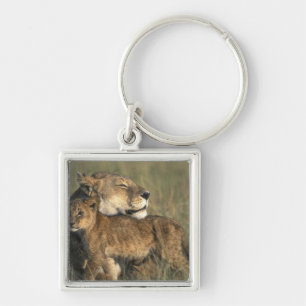 Chaveiro Quênia, Reserva de Caça Masai Mara, Leoa