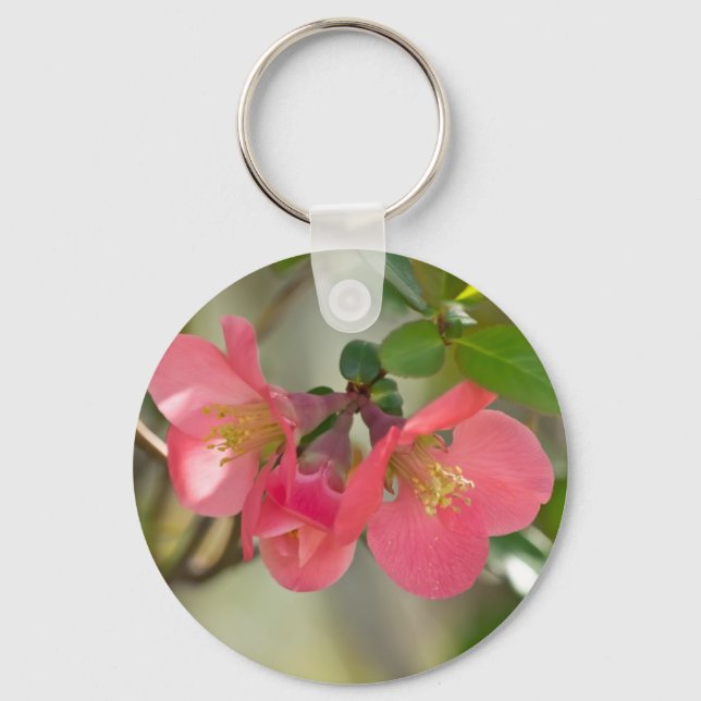 Chaveiro Quince Florescendo Rosa (Frente)