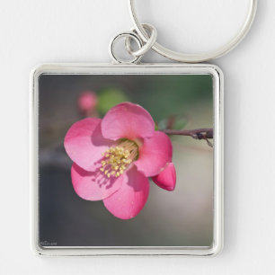 Chaveiro Quince Rosa Perfeito em Flor