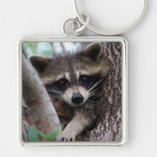 Chaveiro Raccoon