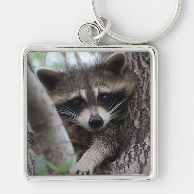 Chaveiro Raccoon (Frente)