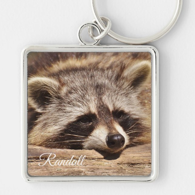 Chaveiro Raccoon (Frente)