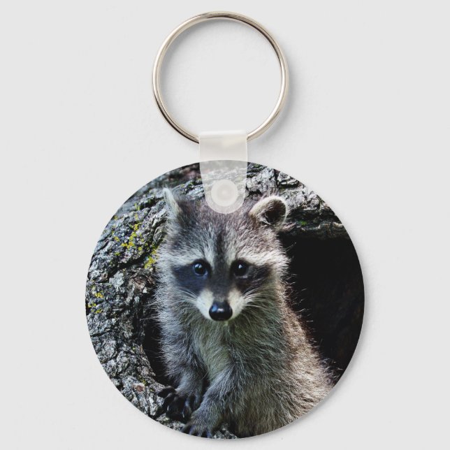 Chaveiro Raccoon no Den (Frente)
