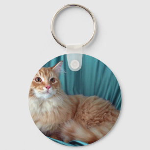 Chaveiro Racum de Maine, gato malhado vermelho