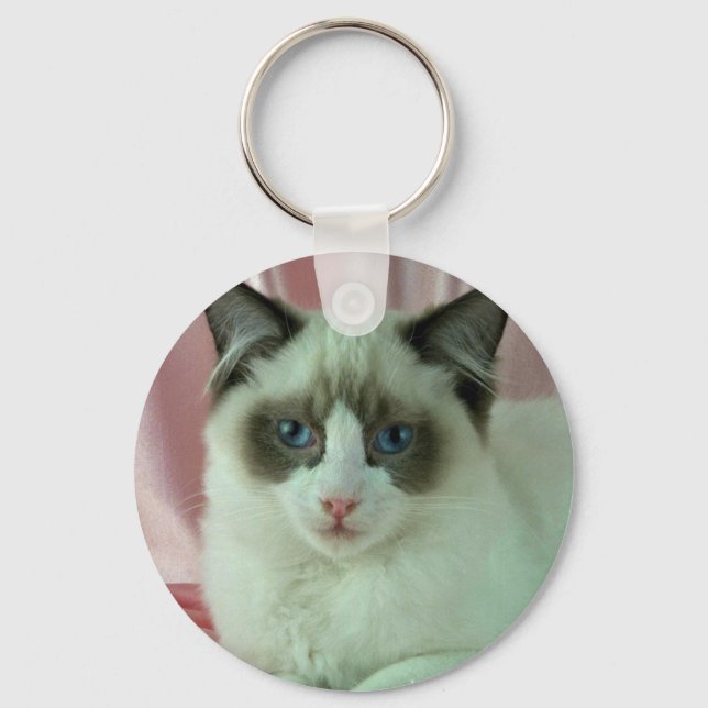 Chaveiro Ragdoll, bicolor do selo (Frente)