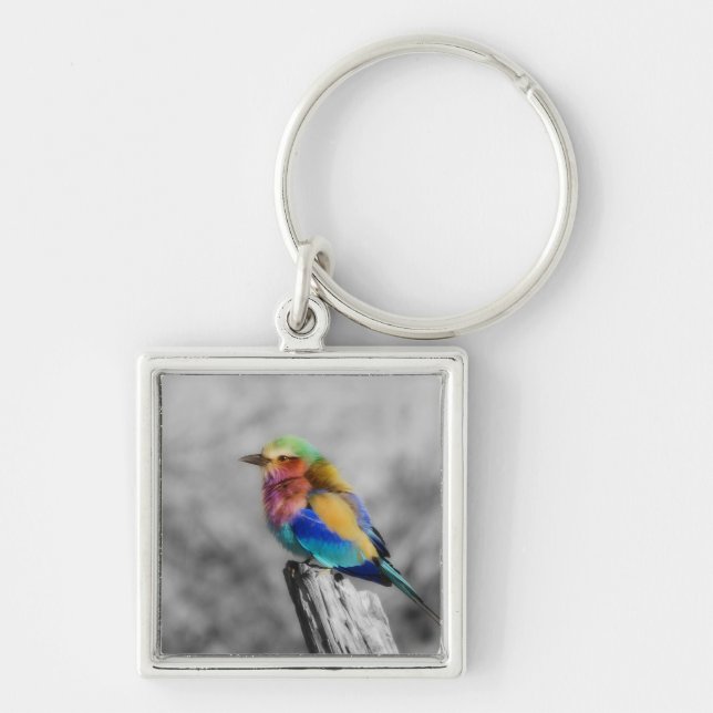 Chaveiro Rainbow Bird (Frente)