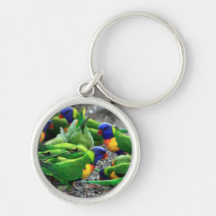 Chaveiro Rainbow Lorikeets australiano