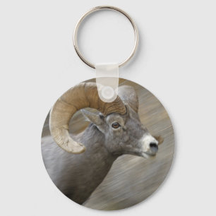 Chaveiro Ram do Bighorn do deserto