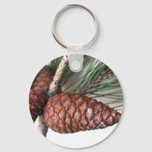 Chaveiro Ramificação do pinheiro com o pinecone