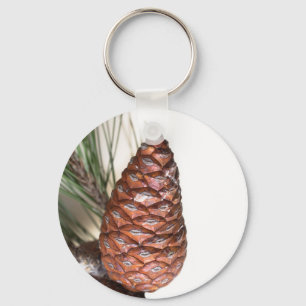 Chaveiro Ramificação do pinheiro com o pinecone