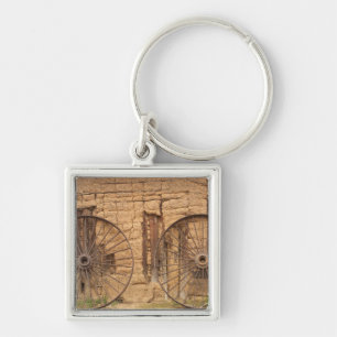 Chaveiro Ranch Karanambu, Savannah, Rupununi, Guiana,