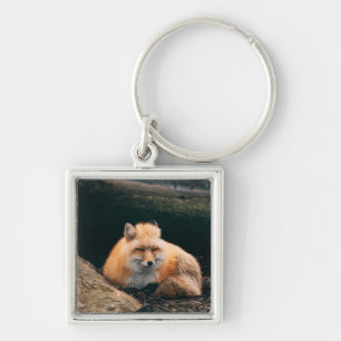 Chaveiro Raposa Vermelha Dormindo